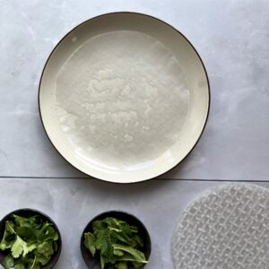 Recipes-For-Kids -Spring Roll Soaking Rice Paper