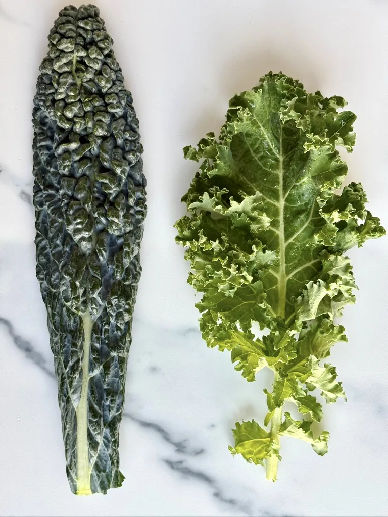 Recipes For Kids - Dino Kale vs Curly Kale