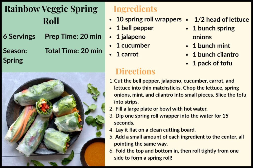 Recipes-For-Kids - Rainbow Veggie Spring Rolls kids recipe card