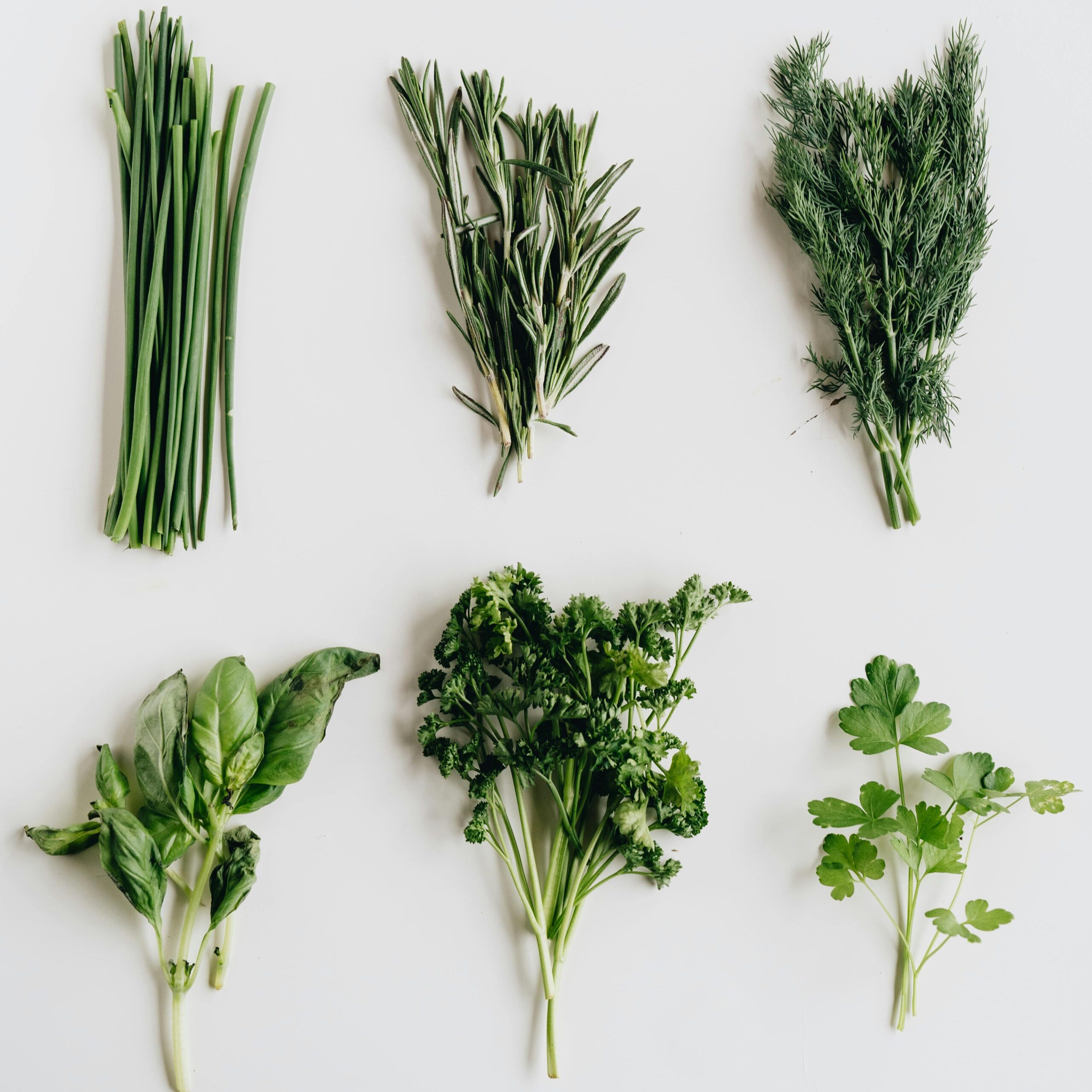 pexels-photo-4113898-4113898 Assorted fresh herbs including basil, parsley, and dill presented on a white table.